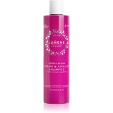 Lumene Nordic Bloom [LUMO] Color &amp; Vitality șampon pentru păr vopsit cu filtru UV 300 ml