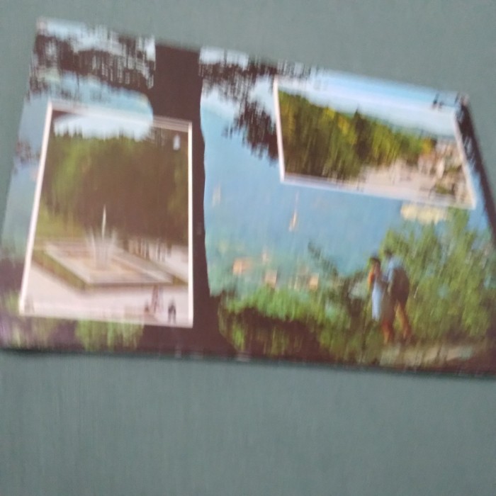 CARTE POSTALA -GOVORA CIRCULATA