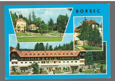 CPIB 17554 CARTE POSTALA - BORSEC, MOZAIC foto