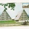 CA16 -Carte Postala- Hanul Cheia, Judetul Prahova, circulata