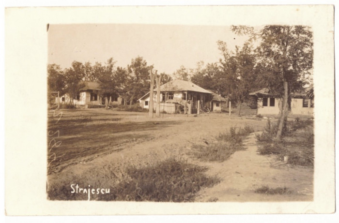 1268 - STRAJESCU, Vrancea, Romania - old postcard, real PHOTO - unused - 1918