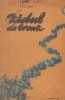 Zidul de bronz
