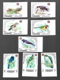 yemen mnh nedantelat