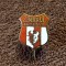 Insigna fotbal - &quot;ZIMBRUL&quot; SUCEAVA (varianta 1)