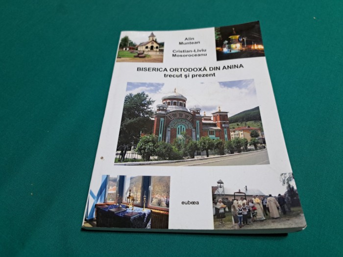 BISERICA ORTODOXĂ DIN ANINA *TRECUT ȘI PREZENT / ALIN MUNTEAN / 2014 * 34