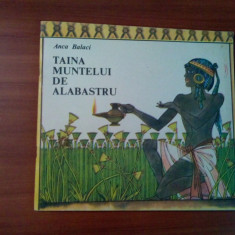 TAINA MUNTELUI DE ALBASTRU - Anca Balaci - VAL MUNTEANU (ilustratii) - 1991, 46p