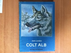 h0b Colt alb ? Jack London foto
