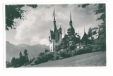 1241 - SINAIA, Peles Castle, Romania - old postcard, real PHOTO - unused, Necirculata, Fotografie