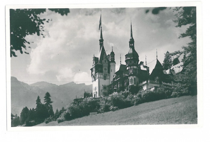 1241 - SINAIA, Peles Castle, Romania - old postcard, real PHOTO - unused