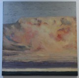 Pictura ulei - V&acirc;nt III Dorin Barbu