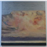 Pictura ulei - V&acirc;nt III Dorin Barbu