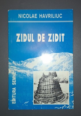 NICOLAE HAVRILIUC - ZIDUL DE ZIDIT foto