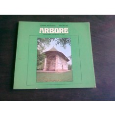 ARBORE - CORINA NICOLESCU (TEXT IN LIMBA ENGLEZA)