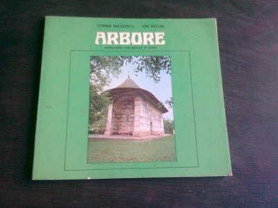 ARBORE - CORINA NICOLESCU (TEXT IN LIMBA ENGLEZA) foto