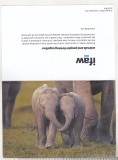 Bnk cp Fauna - Elefanti - felicitare necirculata, Printata