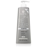Alama Professional Repair șampon regenerator 500 ml