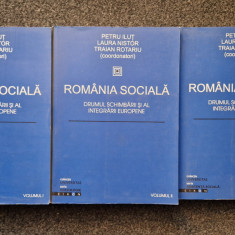 ROMANIA SOCIALA. Drumul schimbarii - Ilut, Nistor, Rotariu (3 volume)