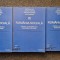 ROMANIA SOCIALA. Drumul schimbarii - Ilut, Nistor, Rotariu (3 volume)