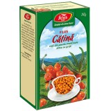 Ceai Catina Fructe 50gr Fares