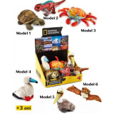 Jucarie din plus National Geographic Pui de animale Galapagos 28 cm, Diverse