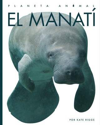 El Manat foto