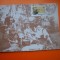 HOPCT MAXIMA NR 1072 CENTENAR ARTISTI ONNINGEBY 1986 ALAND -FINLANDA LA PICNIC