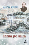 Iarna pe uliță - Paperback brosat - Agora
