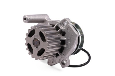 HEPU P662 Pompă de apă, răcire motor foto