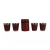 Set 4 Pahare Inox 50ml cu Husa Piele Visiniu - Elegant, Portabil