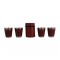 Set 4 pahare Inox cu Husa din Piele , 50 ml