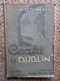 Liam O&#039;Flaherty / Ceata la Dublin (editie interbelica)