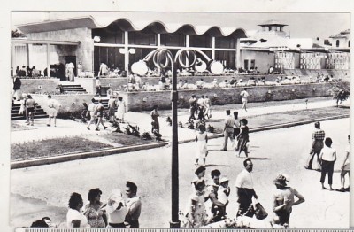 bnk cp Mamaia - Complexul Albatros - necirculata foto