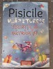 &quot;Pisicile Vrăjitorese-Tinerețe fără bătr&acirc;nețe&quot;, volumul II