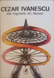 ALTE FRAGMENTE DIN MUZEON-CEZAR IVANESCU-239468