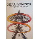 ALTE FRAGMENTE DIN MUZEON-CEZAR IVANESCU-239468