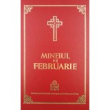 Mineiul pe februarie