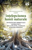 intelepciunea lumii naturale. invatatura spirituala si practica de la plante, animale si Mama Pamant - Editura Niculescu