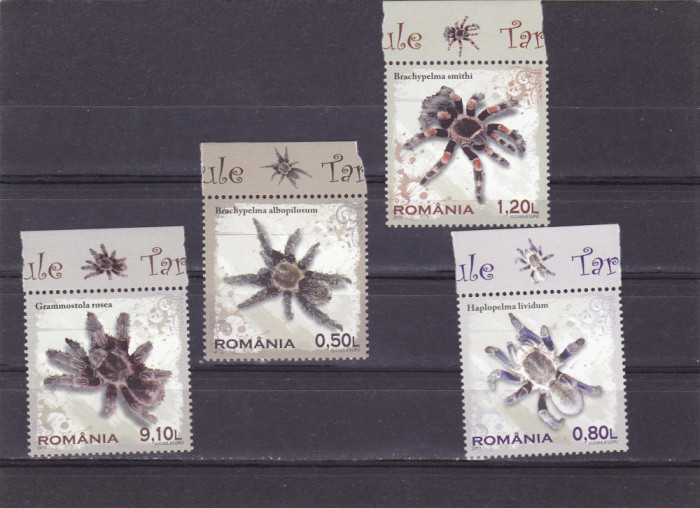 Romania 2010 - Tarantule, LP1856, Fauna MNH,SERIE COMPLETA.