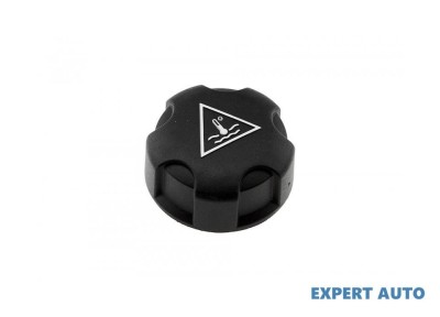 Capac radiator Citroen Jumpy (2007-&amp;gt;) #1 foto