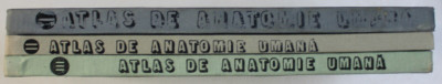 ATLAS DE ANATOMIE UMANA, VOL. I - II - III de MIRCEA IFRIM, 1983, 1984, 1985, foto