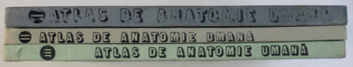 ATLAS DE ANATOMIE UMANA, VOL. I - II - III de MIRCEA IFRIM, 1983, 1984, 1985,