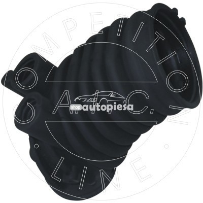 Palnie, filtru de aer BMW Seria 3 Compact (E36) (1994 - 2000) AIC 54734 foto