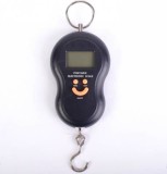 Cantar electronic de mana, maxim 50kg, MiculFermier, GF-0079
