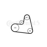 Continental Ctam Set curea transmisie cu caneluri