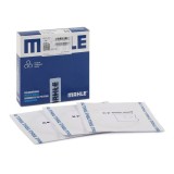 Mahle Set segmenti piston