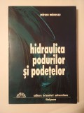 Mircea Mănescu - Hidraulica podurilor și podețelor