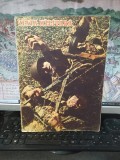 Viața Militară nr. 6 1954, Revistă ilustrată de literatură și artă editată de M.F.A. Direcția superioară politică, Emil Bodnăraș, 23 august 1954, 226