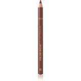 L&rsquo;Or&eacute;al Paris Color Riche creion contur buze culoare 570 Worth It Int 1.2 g
