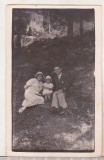 Bnk foto Sinaia - Amintire de la Stana regala - 1933, Alb-Negru, Romania 1900 - 1950, Natura