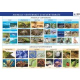 Animale vertebrate si nevertebrate - Editura DPH